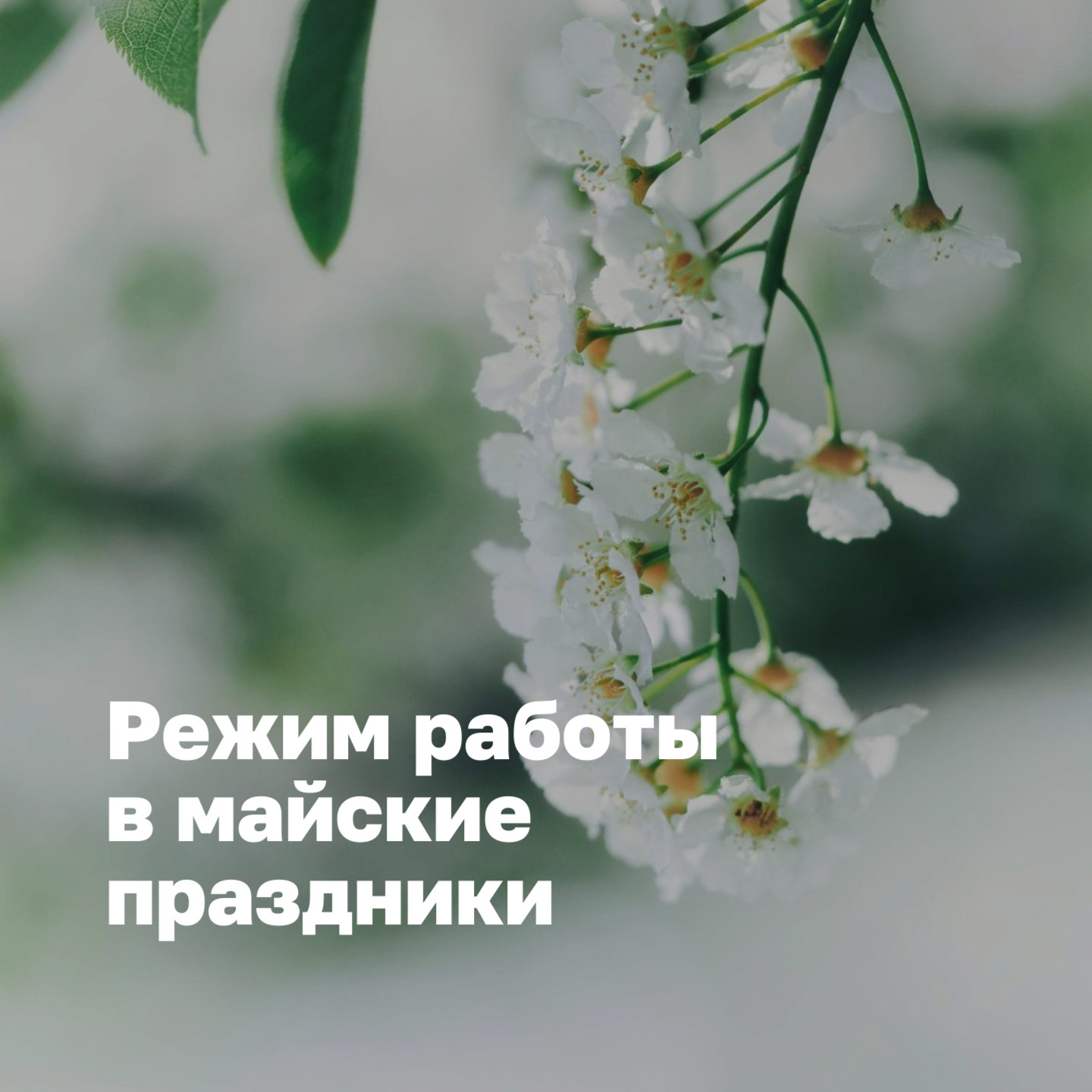 Режим работы интернет-магазина в майские праздники 2025 г.